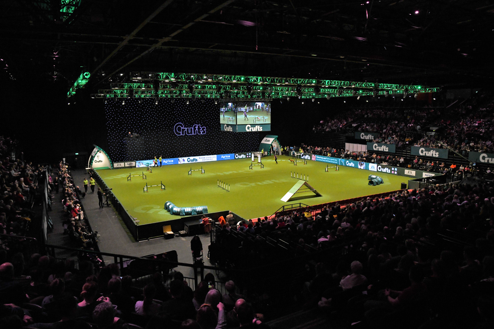 NEC-Crufts-Main-Arena-1