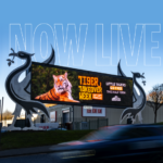 now_live_featured_image