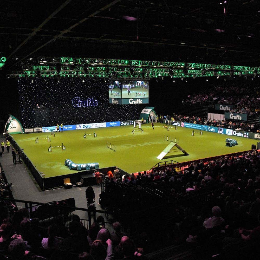 NEC-Crufts-Main-Arena-1